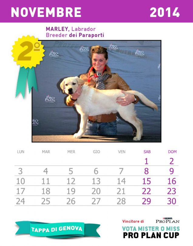 Calendario dei cuccioli - mese novembre 2014