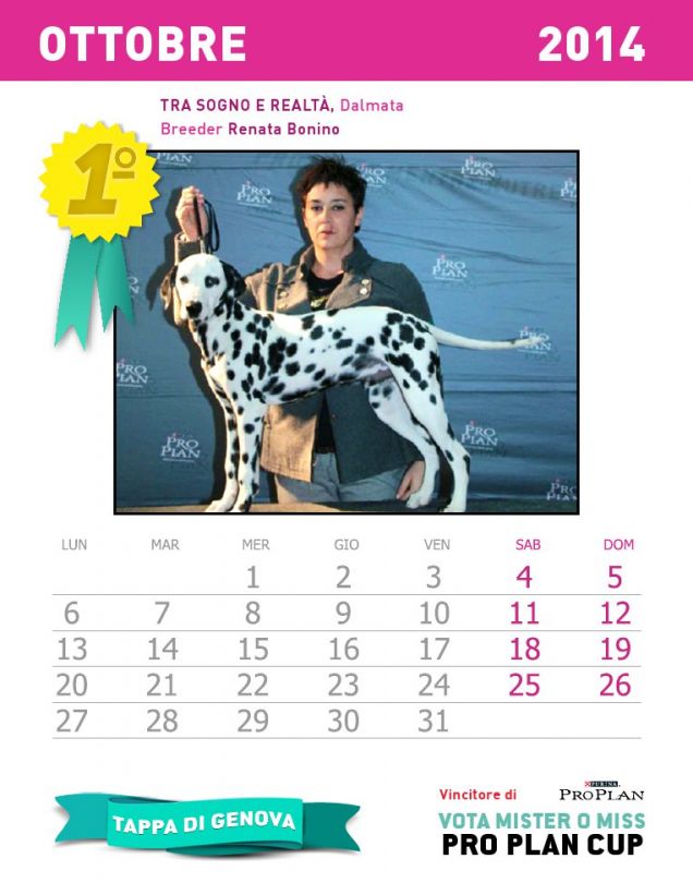 Calendario dei cuccioli - mese ottobra 2014