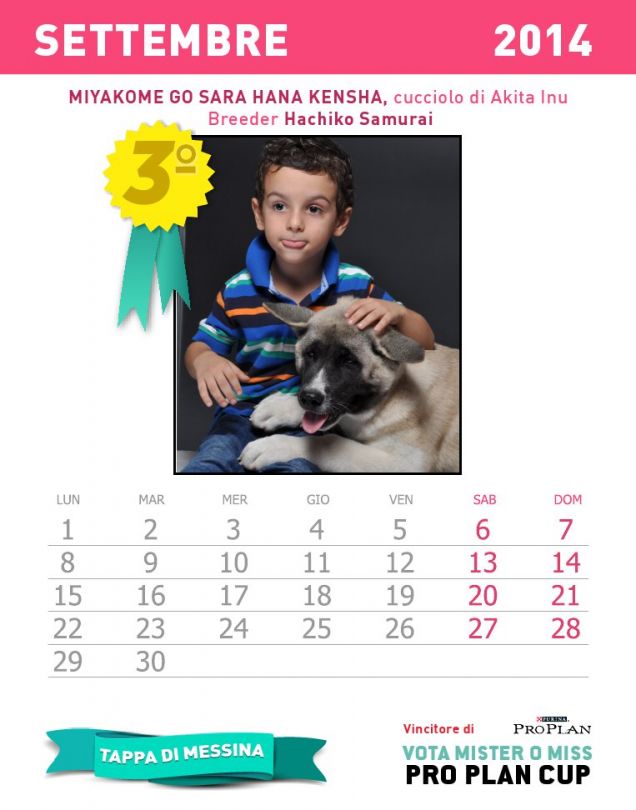 Calendario dei cuccioli - mese settembre 2014
