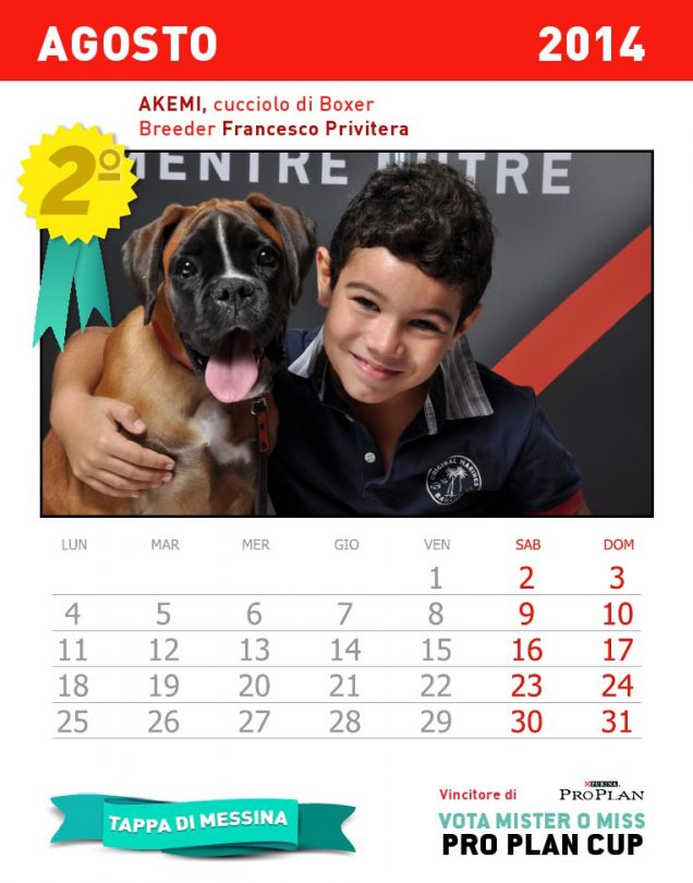 Calendario dei cuccioli - mese agosto 2014