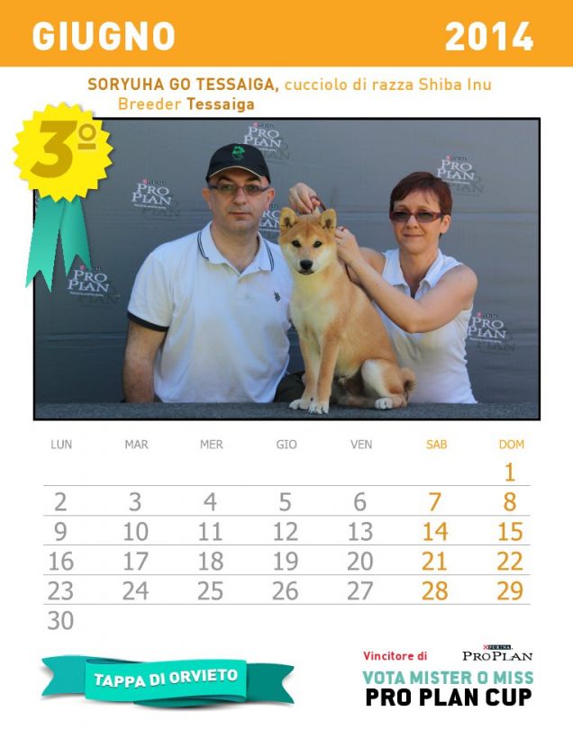 Calendario dei cuccioli - mese giugno