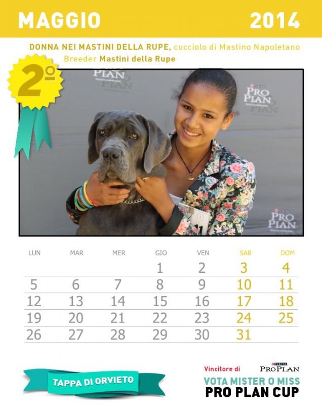 Calendario dei cuccioli - mese maggio