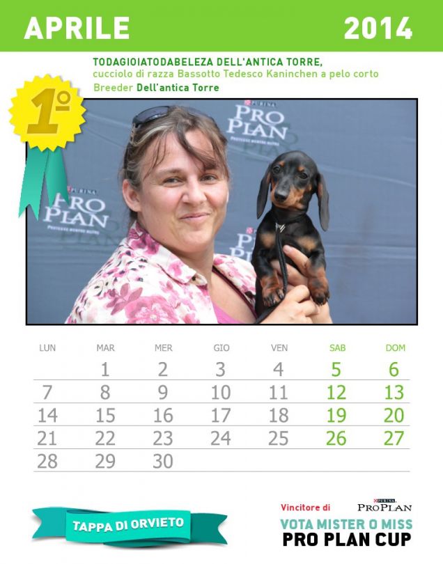 Calendario dei cuccioli - mese aprile