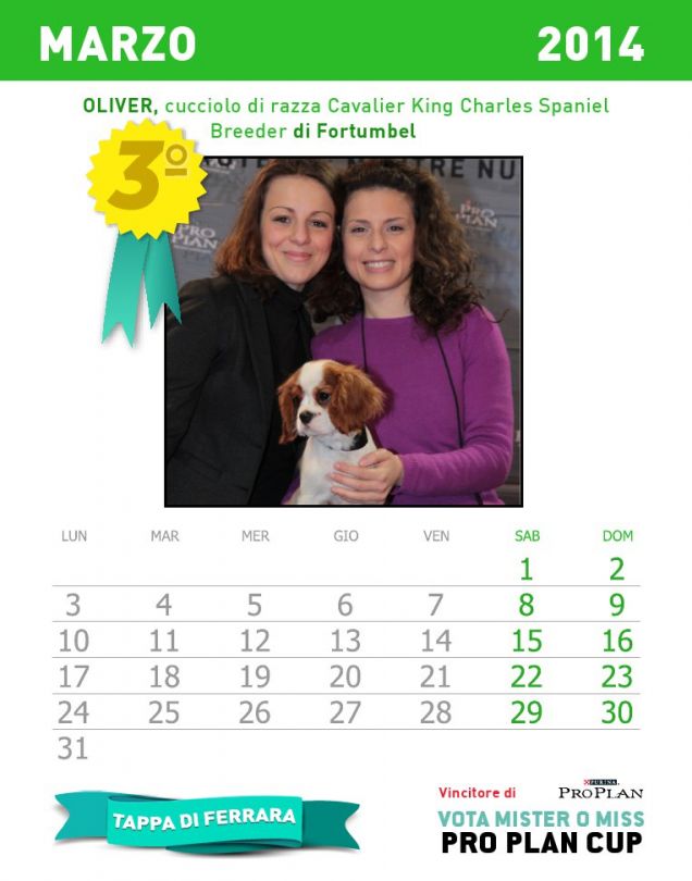 Calendario dei cuccioli - mese marzo 2014