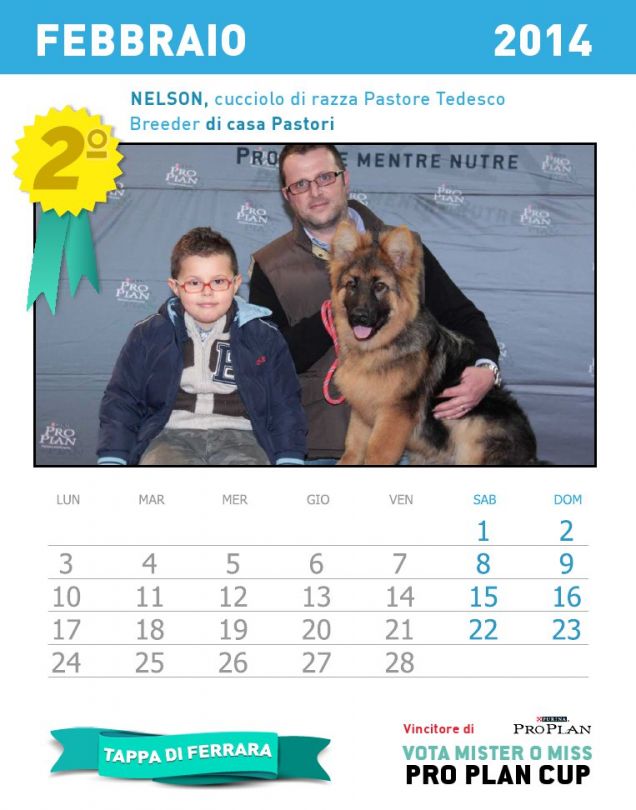 Calendario dei cuccioli - mese febbraio 2014
