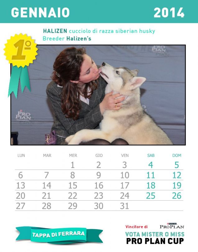 Calendario dei cuccioli - mese gennaio 2014