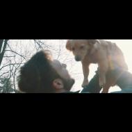 Campagna - Il fumo uccide anche loro