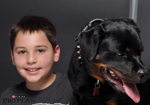 Cucciolo di Rottweiler