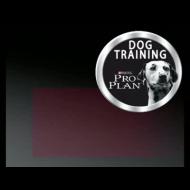 Dog Training ProPlan 2010