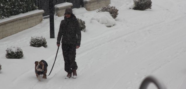 a qualcuno la neve piace!!