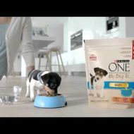 My Dog is Baby: cibo per cani di piccola taglia (Spot 2015 Purina One) 