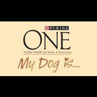 Cibo per cani di piccola taglia: My Dog is (Spot tv 2015 Purina One) - 2