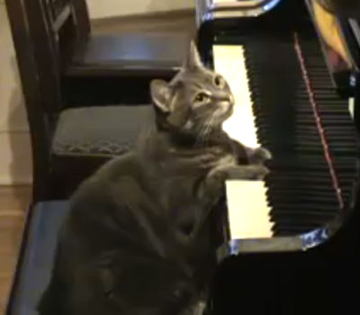 Nora prima di deventare pianista