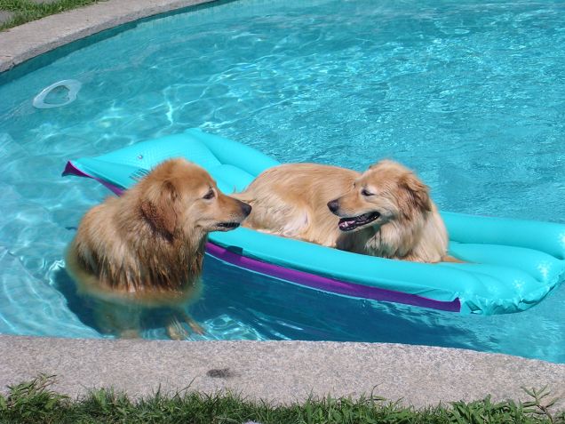 tutti in piscina