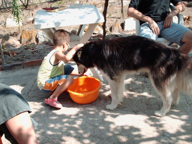 shasta e bimbo