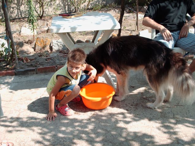 shasta e bimbo