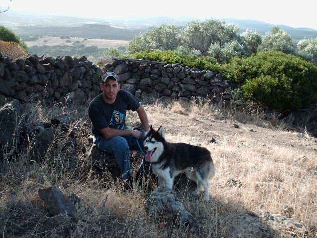 shasta in campagna