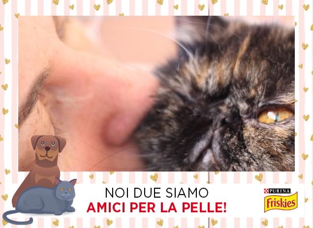 il mio amore pelosetto