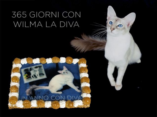 365 giorni DIVA!