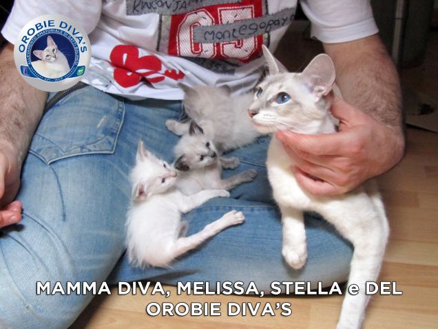 Insieme a mamma Diva