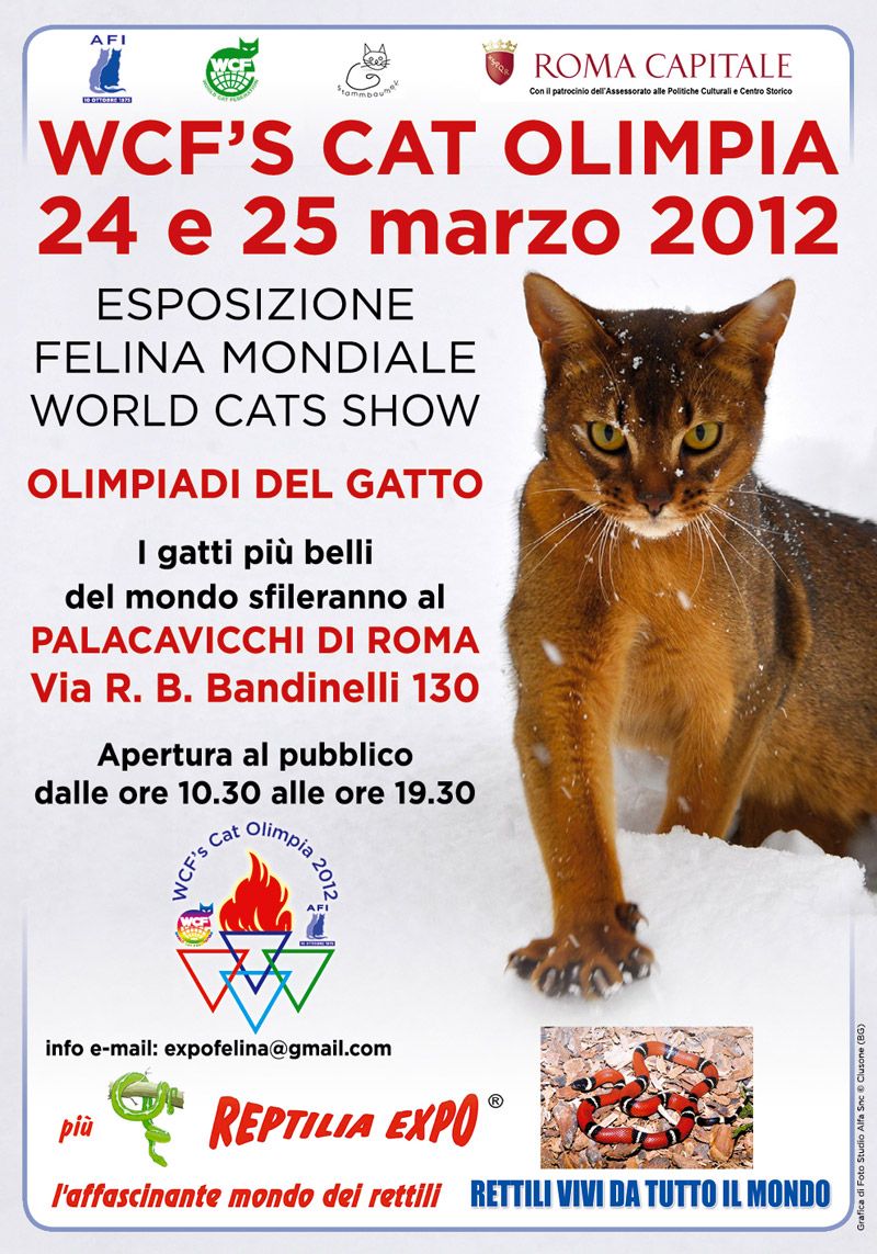 WCF'S CAT OLIMPIA 2012