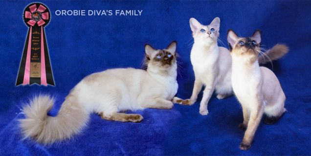 Orobie Diva's Family
