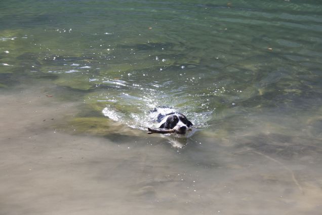 io al lago santo