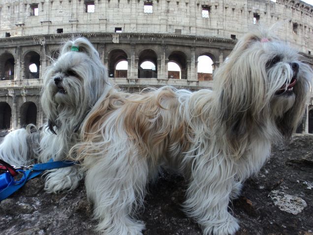 Nella città eterna!