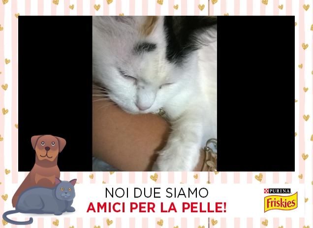 ...non lasciamoci miaooooo....