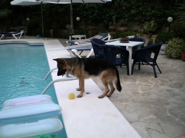 Tom: la piscina Ã¨ terminata... ora la provo !