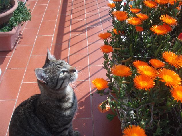 Il primo incontro con la primavera