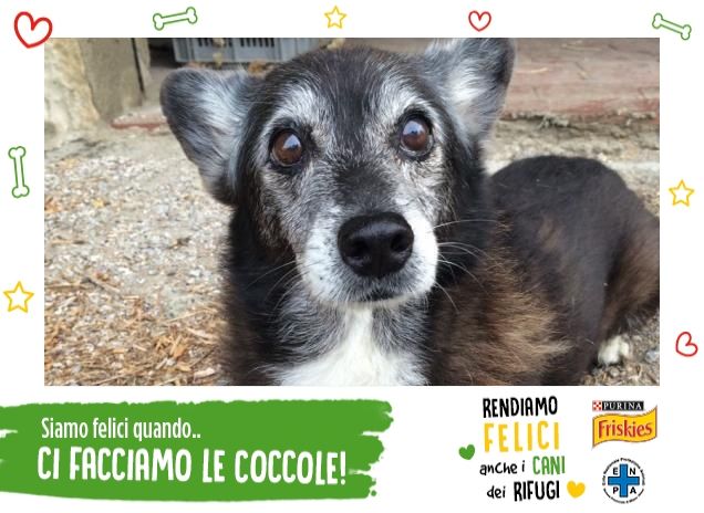 é veramente PERFECT!!!