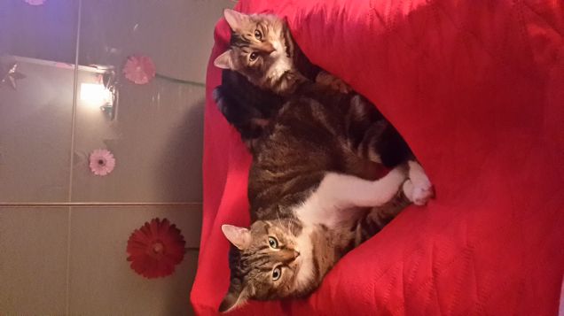 noi...insieme...sempre e per sempre!