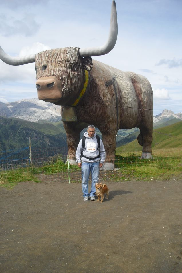 Per rifugio S.Pertini