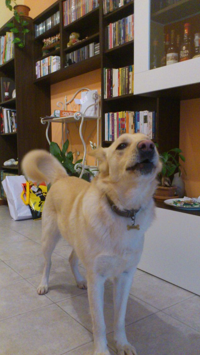 Sono un gran chiacchierone!