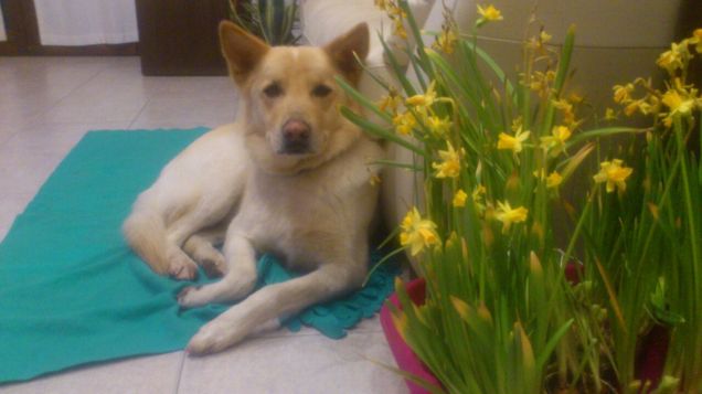 Nanna sulla copertina!