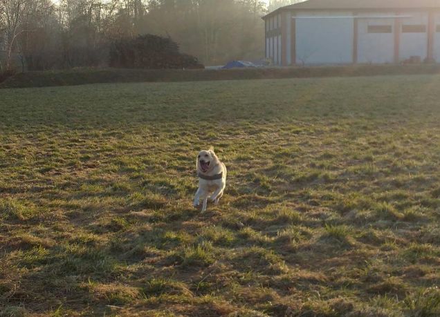 Non mi fermerà nessuno!