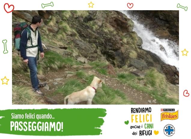 PASSEGGIATA IN MONTAGNA