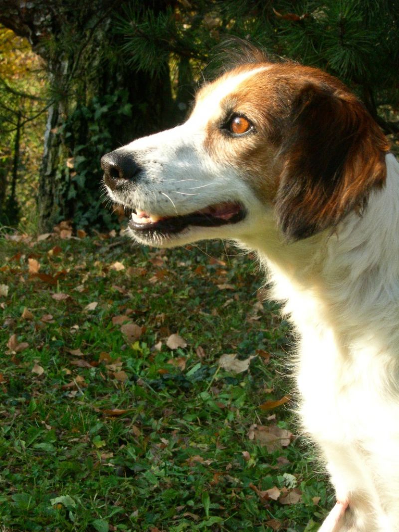 Grazia...una tripode in cerca di Amore!