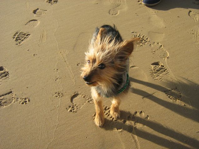 CiÃ¹CiÃ¹ in spiaggia