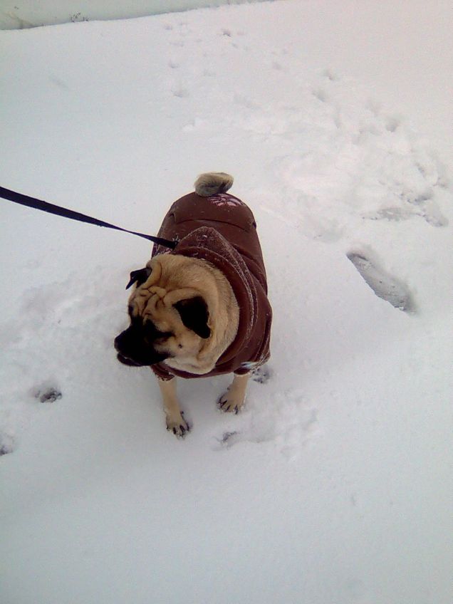 a passeggio sulla neve