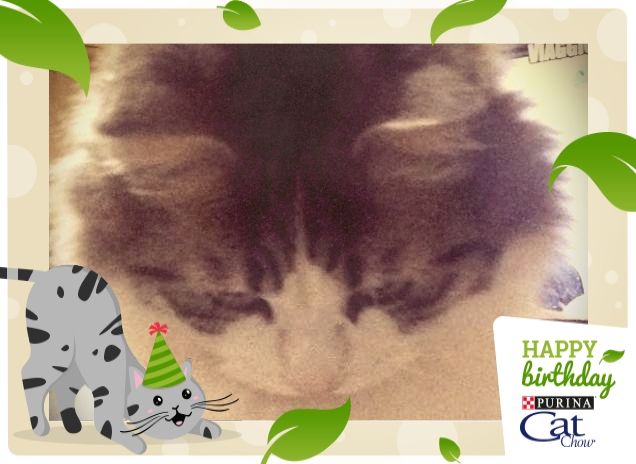 Ugo e il croccantino