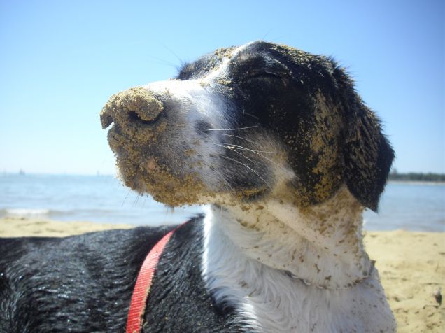 una giornata in spiaggia