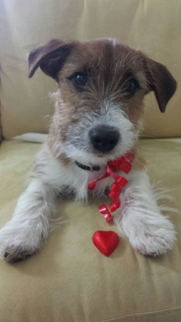 Buon San Valentino!! ❤️