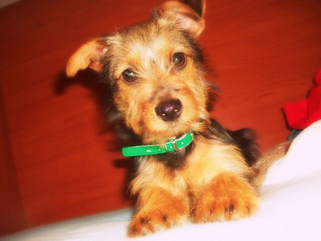 ciccio *-* 