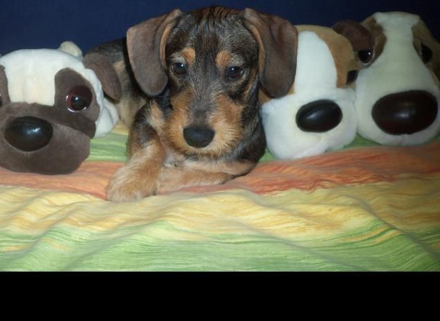 Facciamo foto buffe!