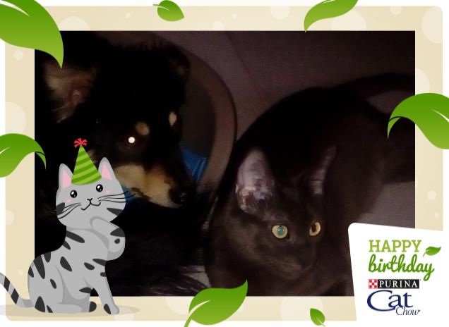 Fratellone e sorellina