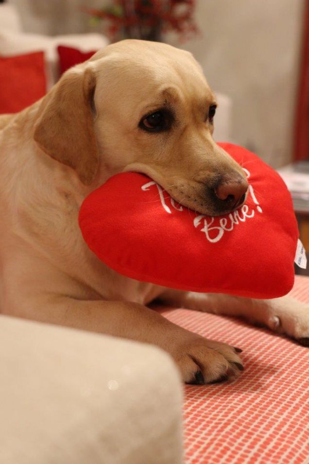 AMORE INFINITO