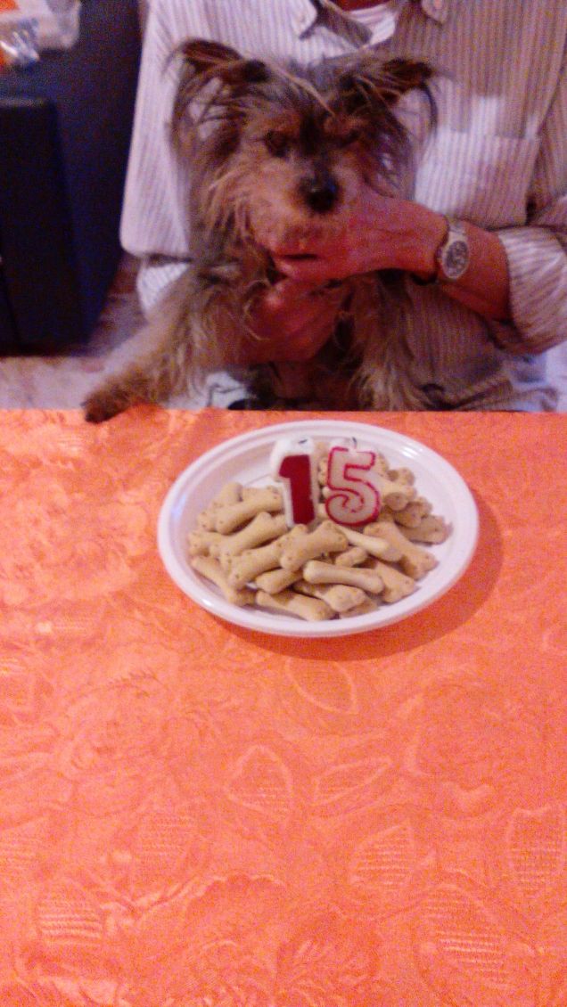 15° COMPLEANNO DI ROCKY