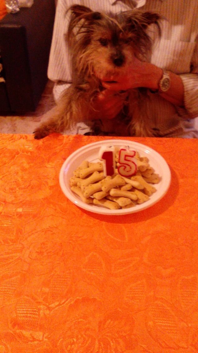 15° COMPLEANNO DI ROCKY